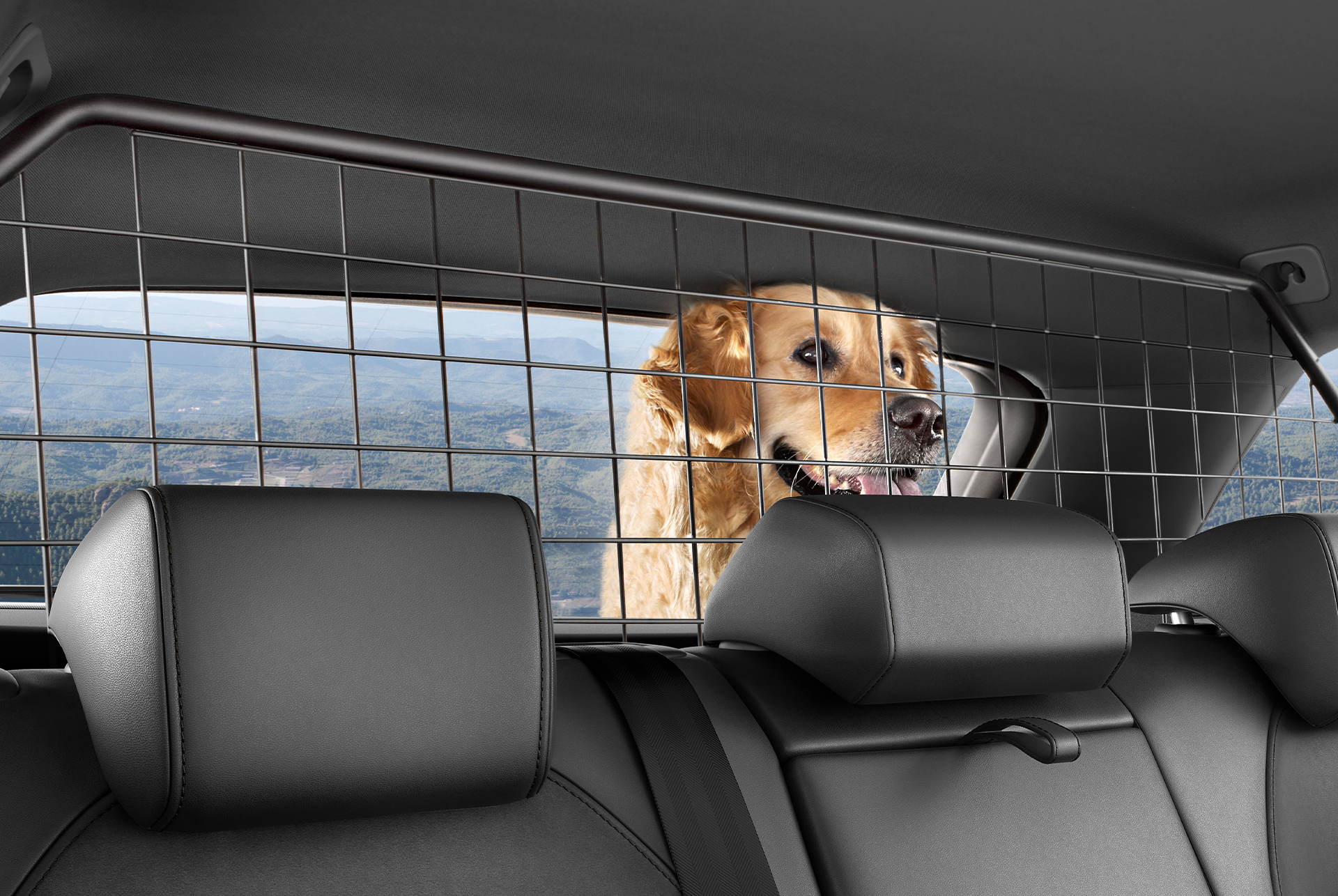 a dog behind the separation grille accessory for the cupra leon sportstourer.