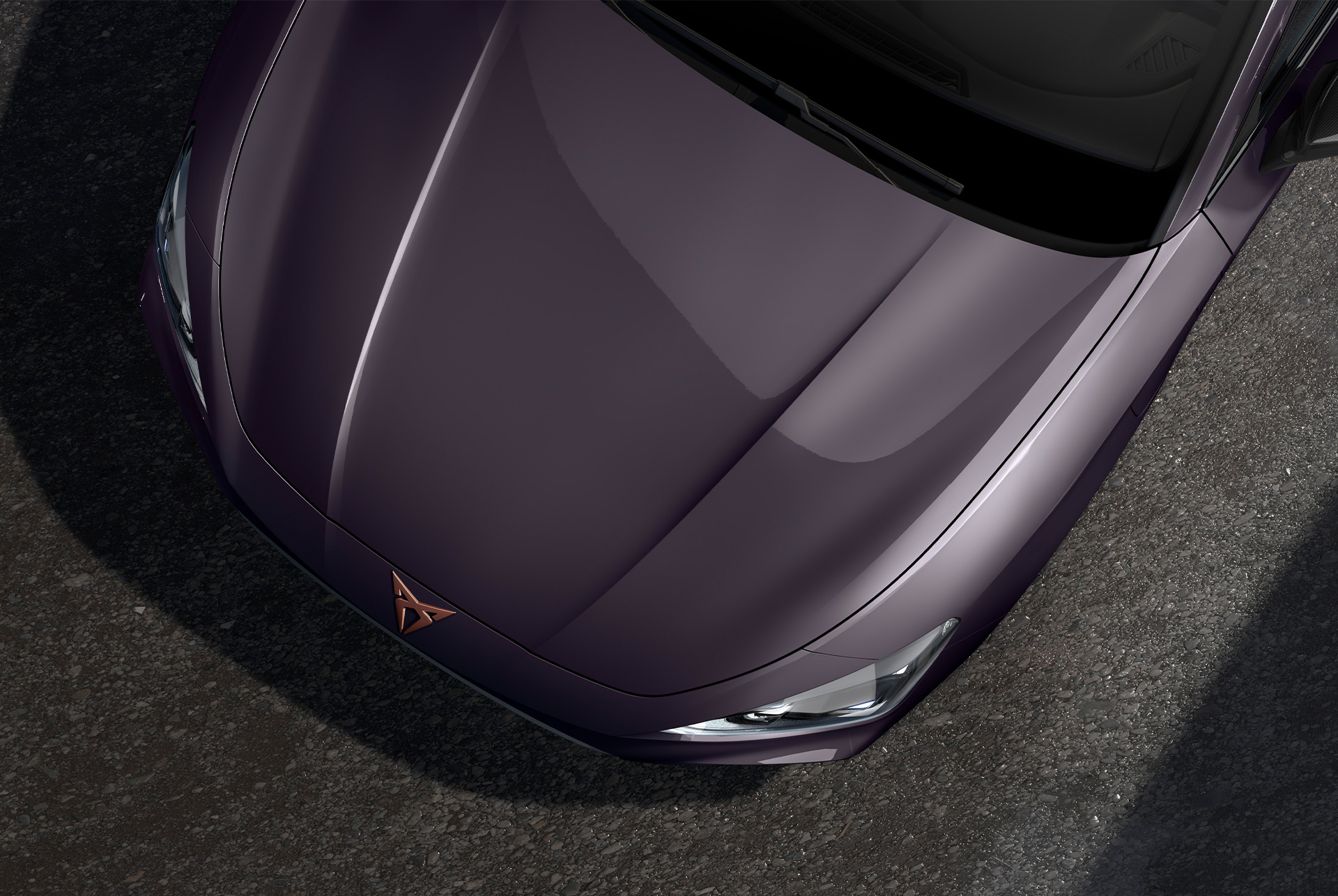 bird’s eye view of an dark void cupra leon sportstourer car hood