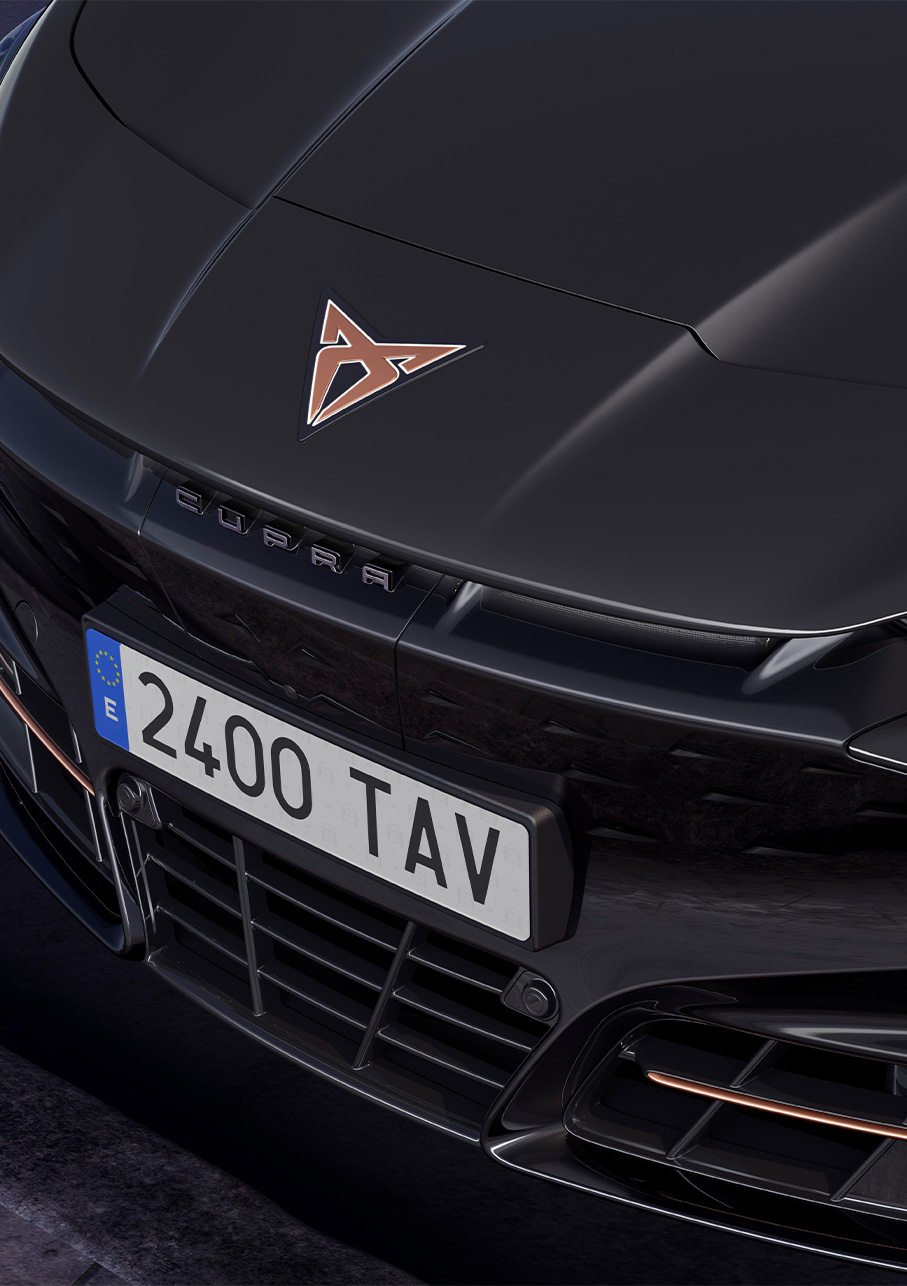 2025 tavascan car basalt grey colour ariel shot